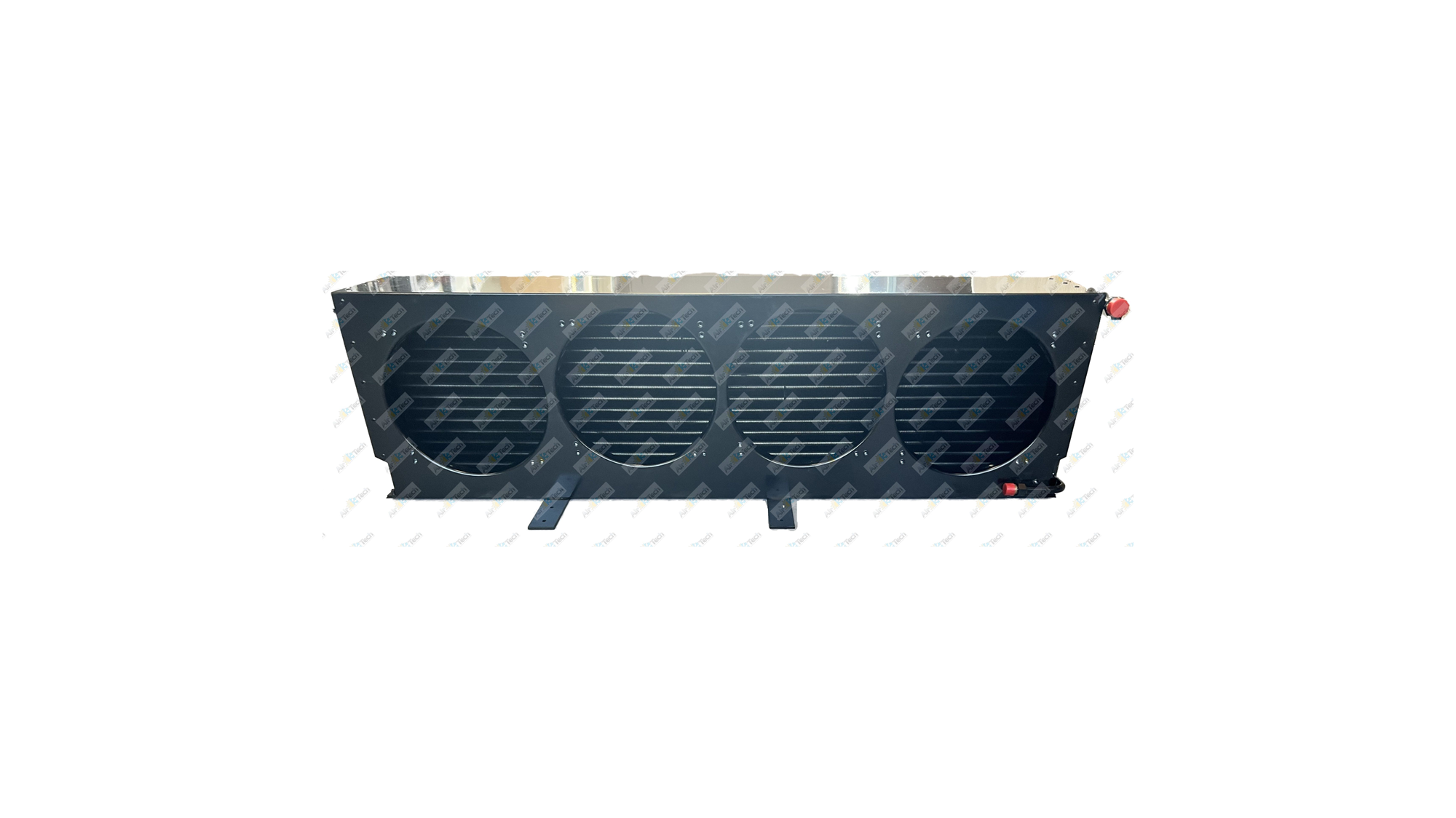 CS221_IMG_8152E_inPixio (watermarked) 1 .jpg