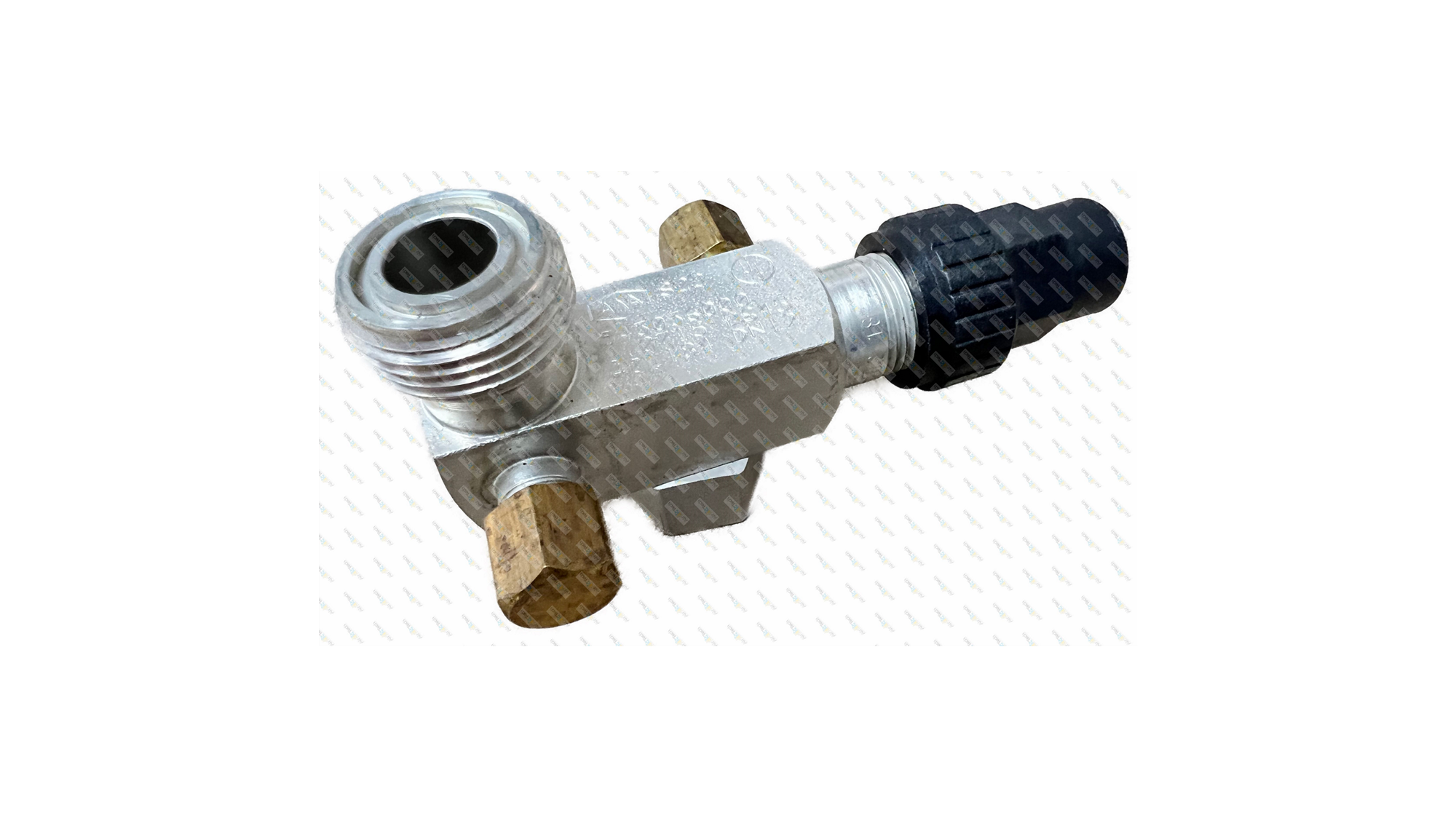 CS222_inPixio (watermarked) 1 .jpg