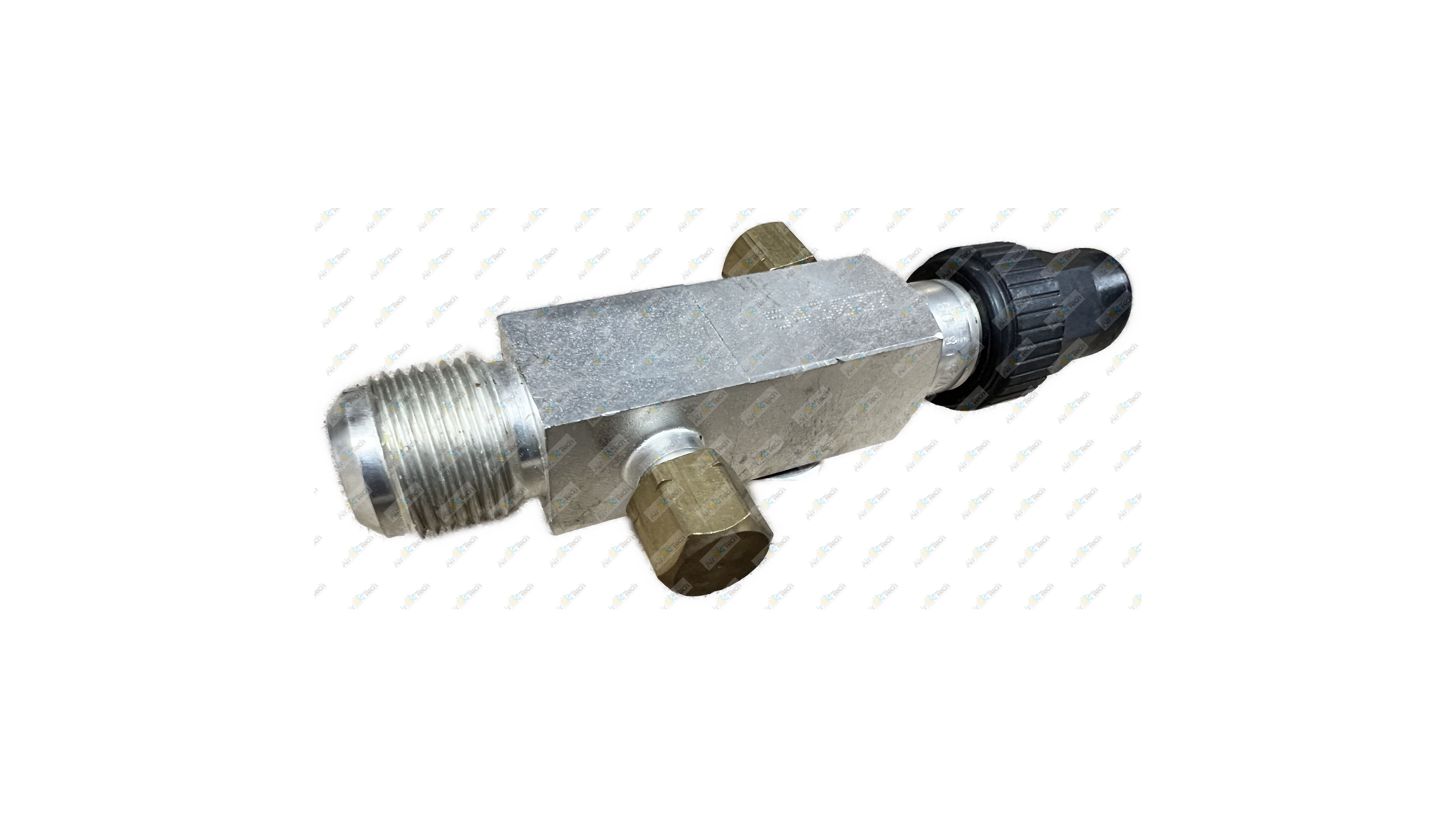 CS223 (2)_inPixio (watermarked) 1 .jpg