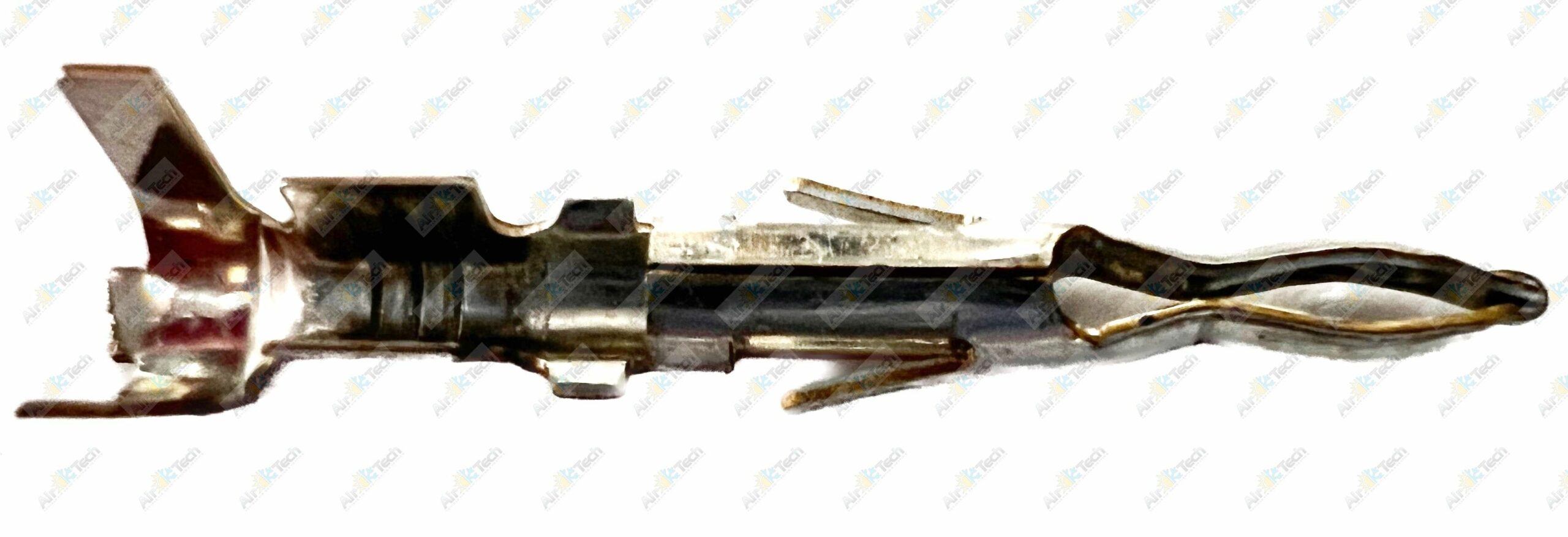 EL107_IMG_7020[…watermarked)