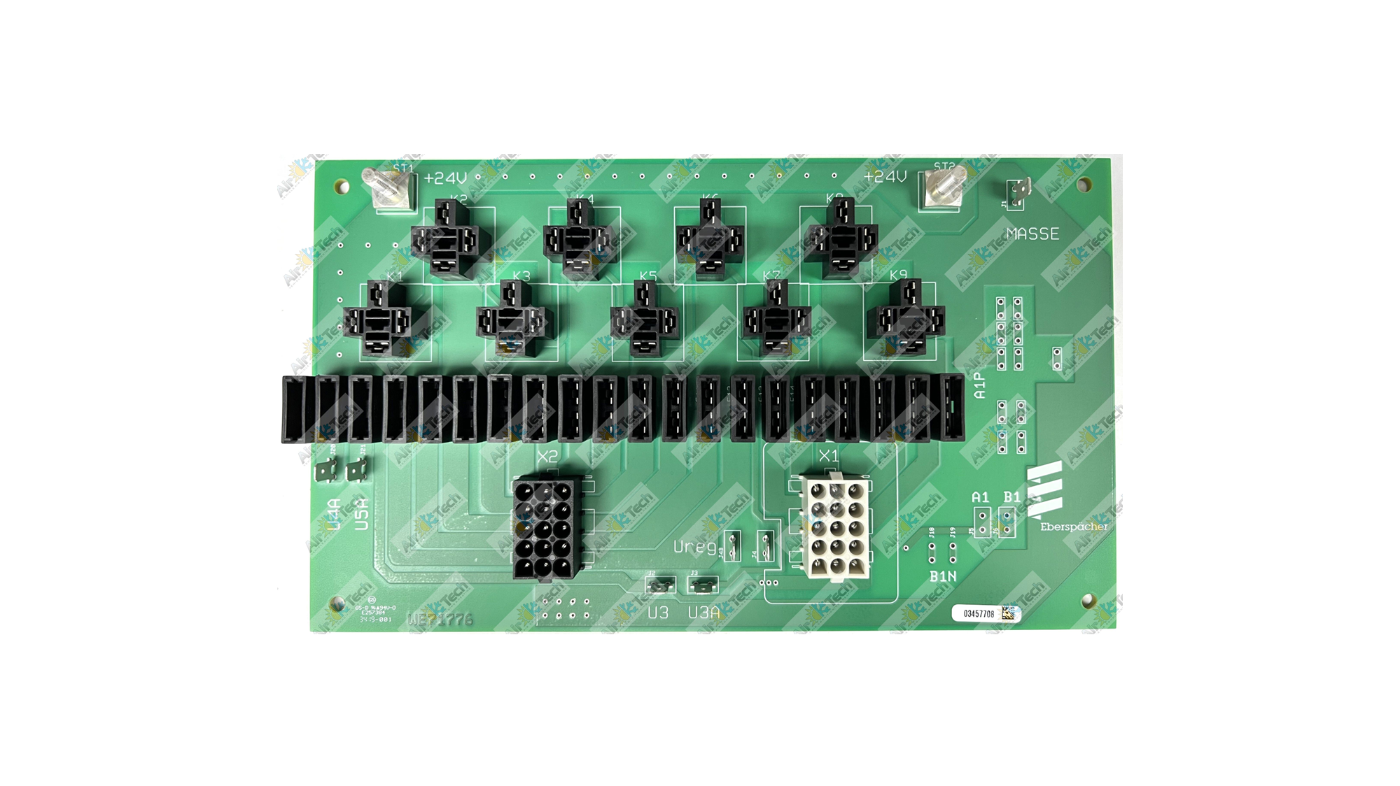 EL130_IMG_7851 (watermarked) 1 .jpg