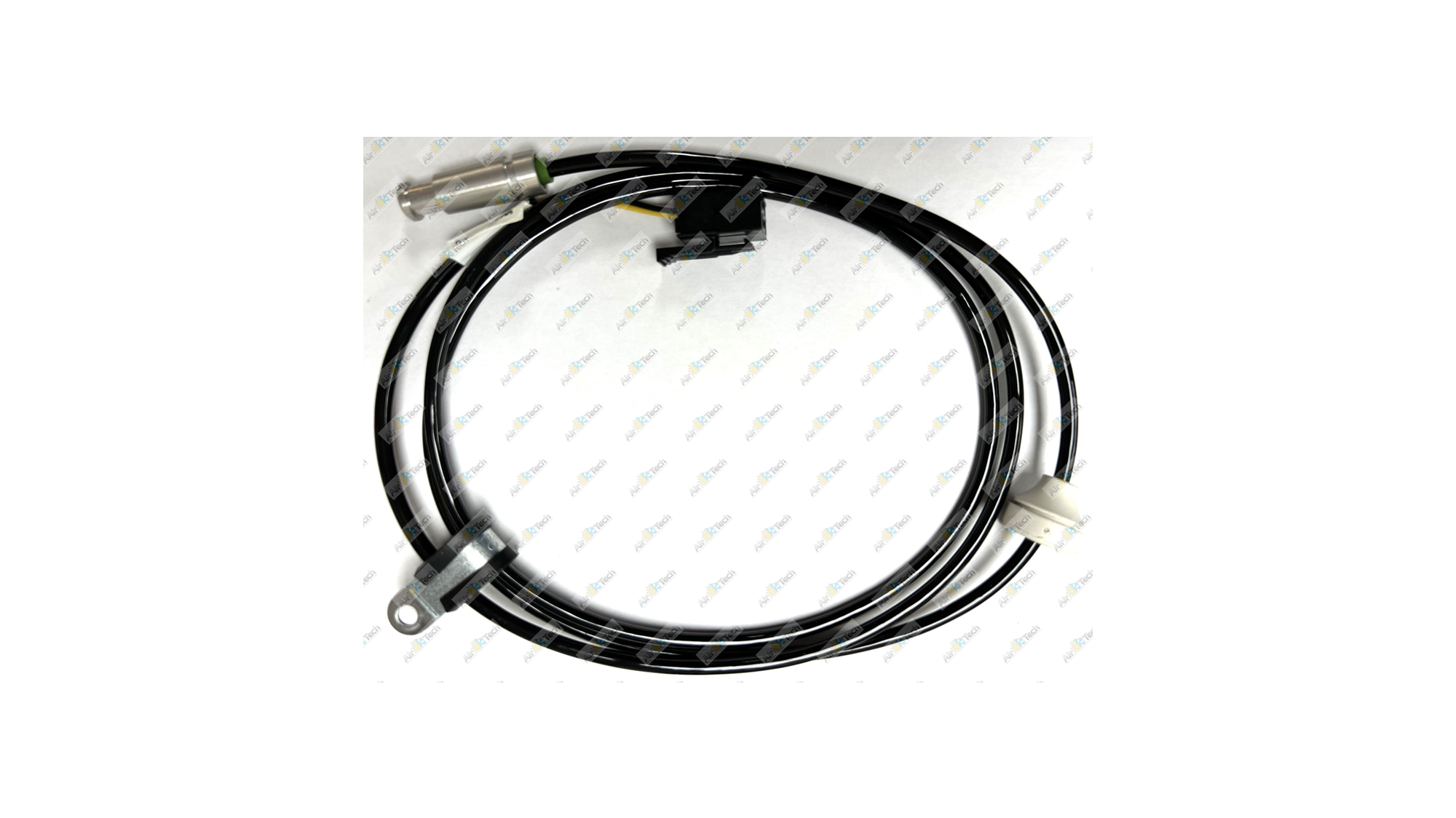 EL205_IMG_7669 (watermarked) 1 .jpg