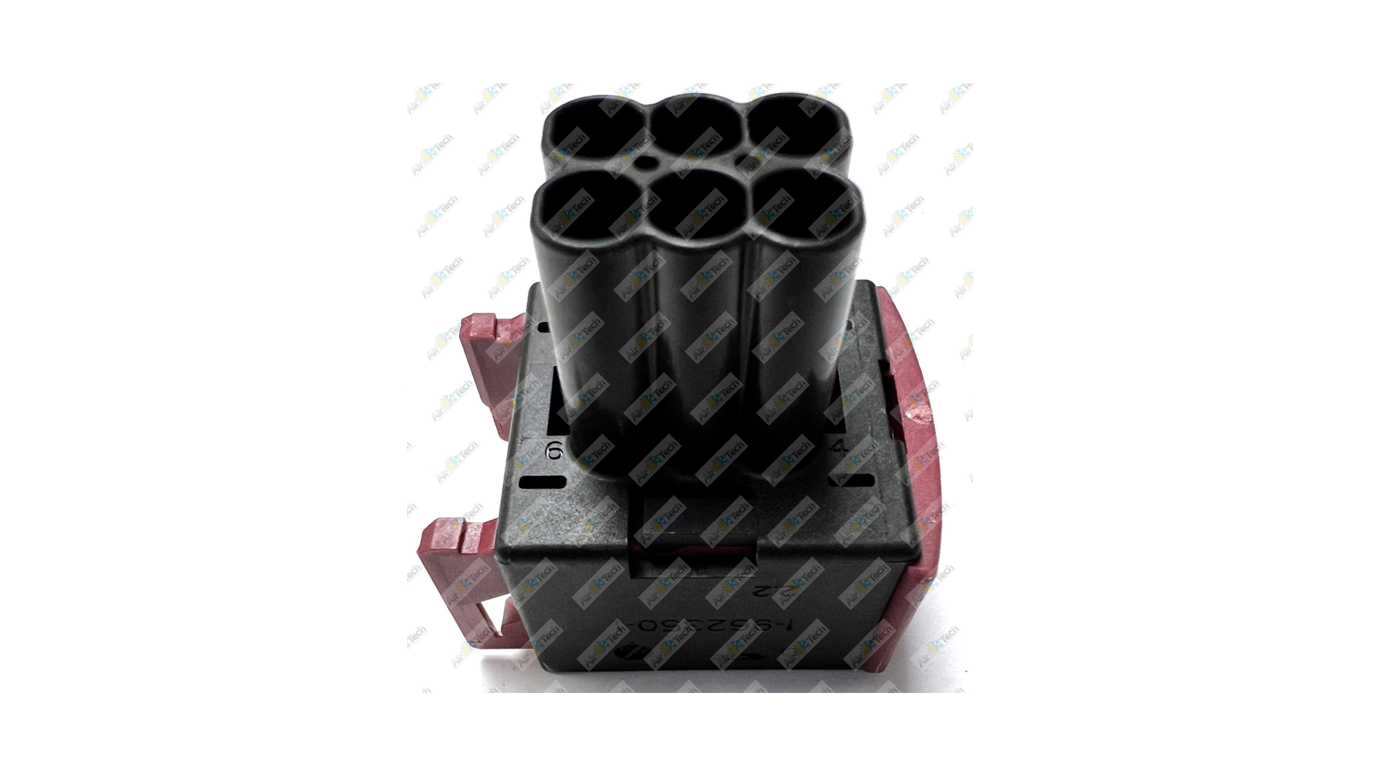 EL216_IMG_7685 (watermarked) 1 .jpg