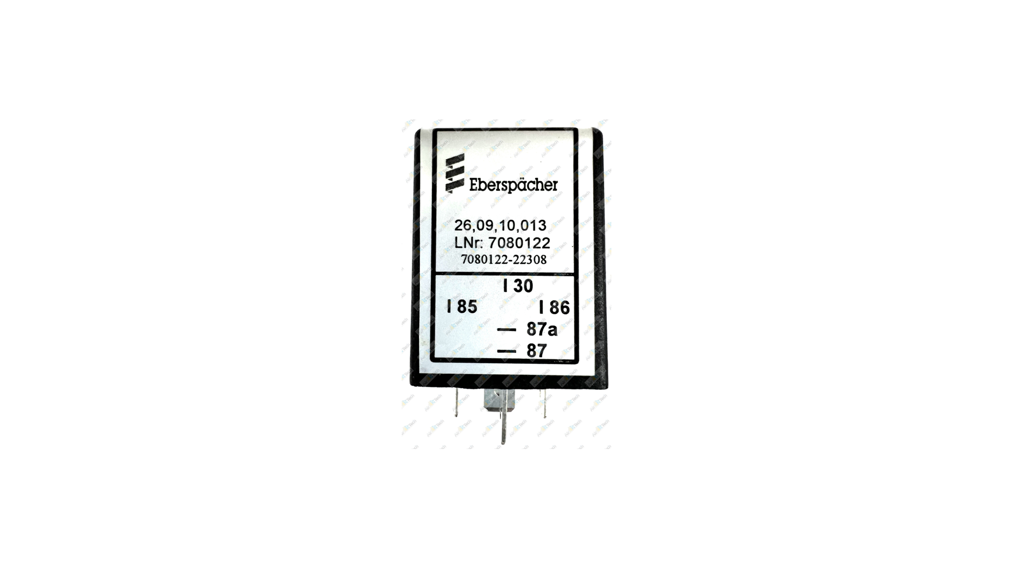 EL233_IMG_7709 (watermarked) 1 .jpg