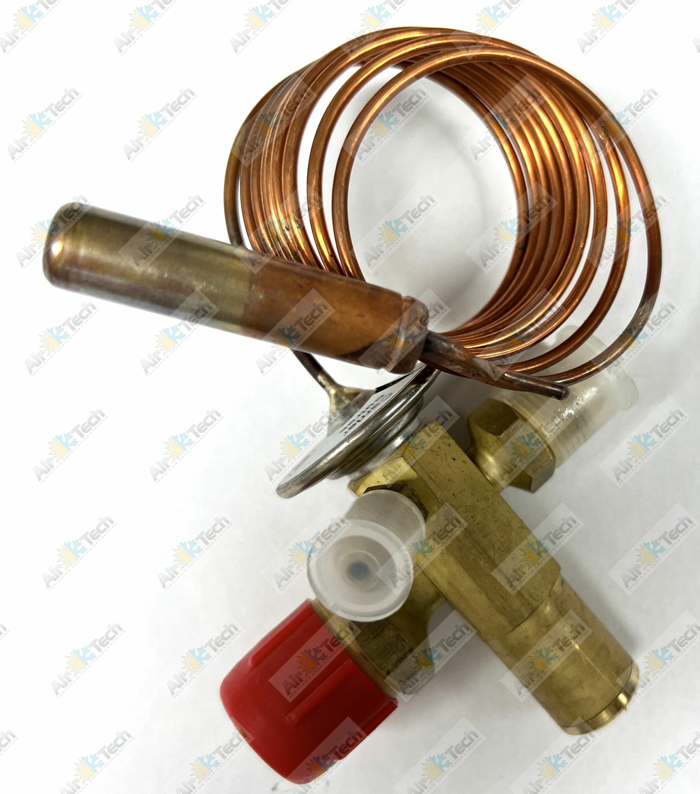 EV145_IMG_7869 (watermarked)