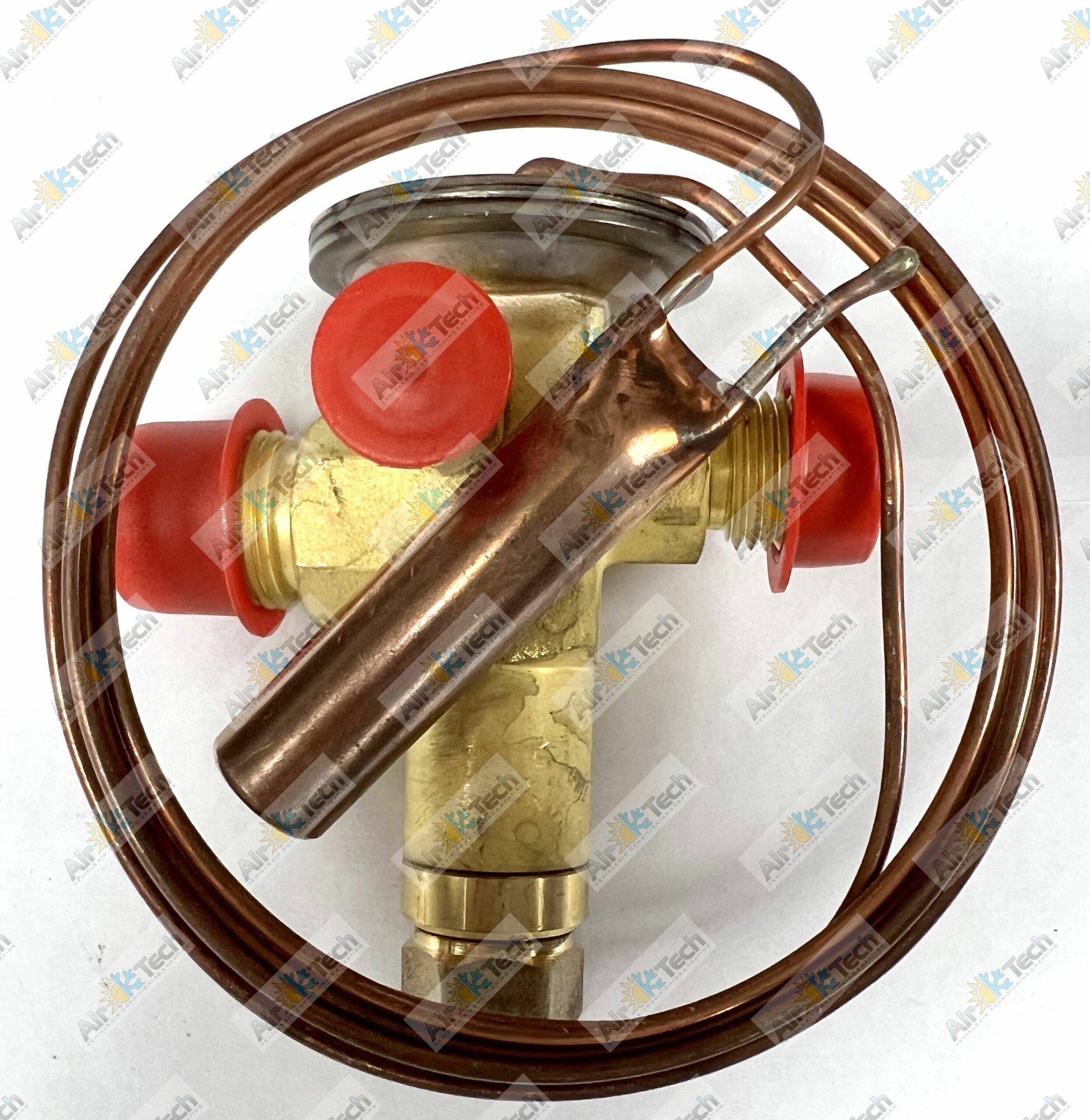 EV146_IMG_7872 (watermarked)