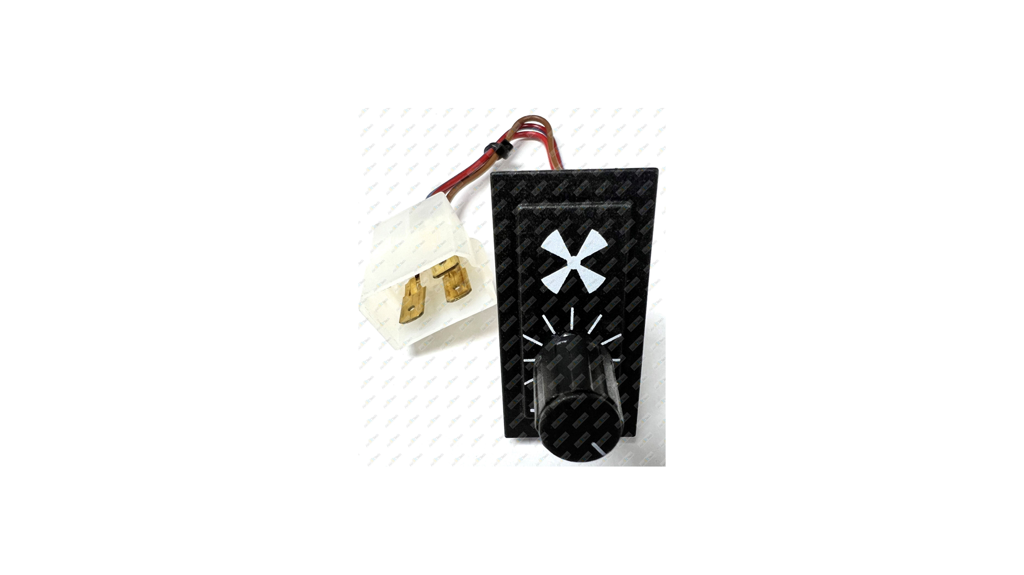 EL186_IMG_7646 (watermarked) 1 .jpg